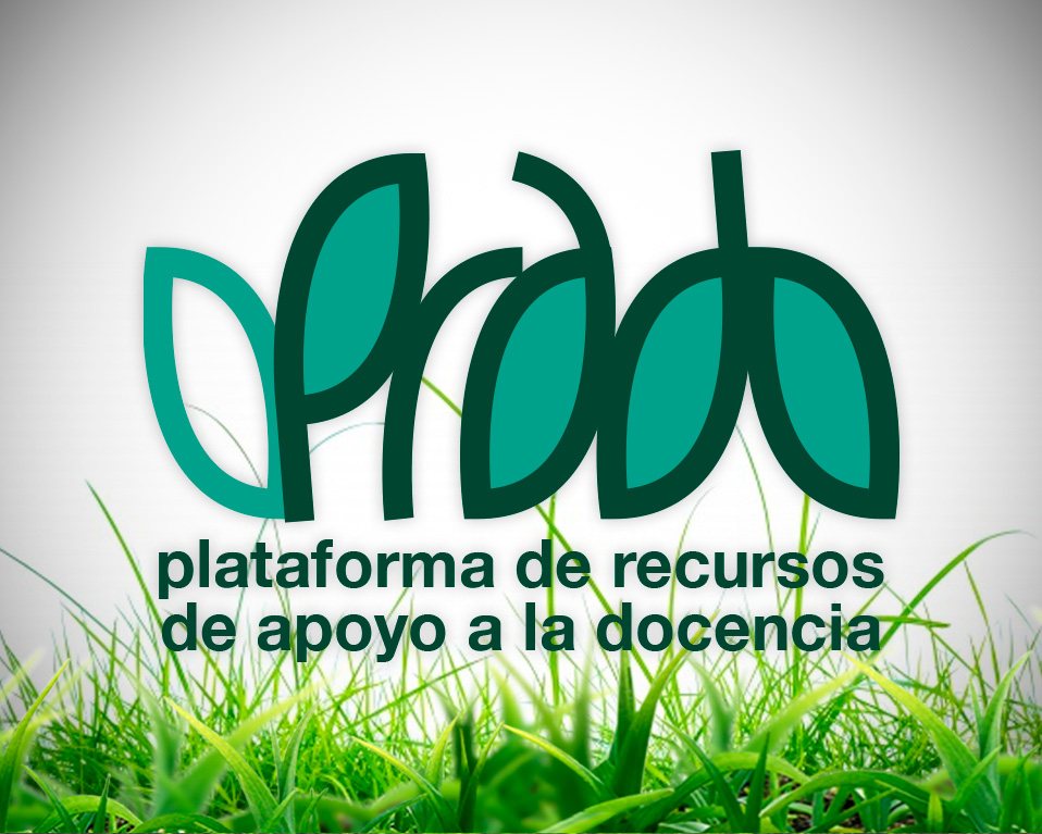 Logo Prado
