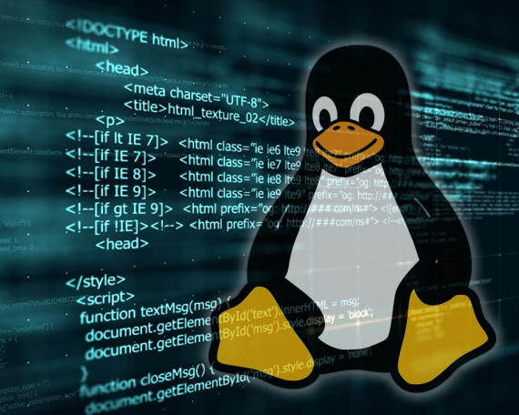pingüino sobre código html